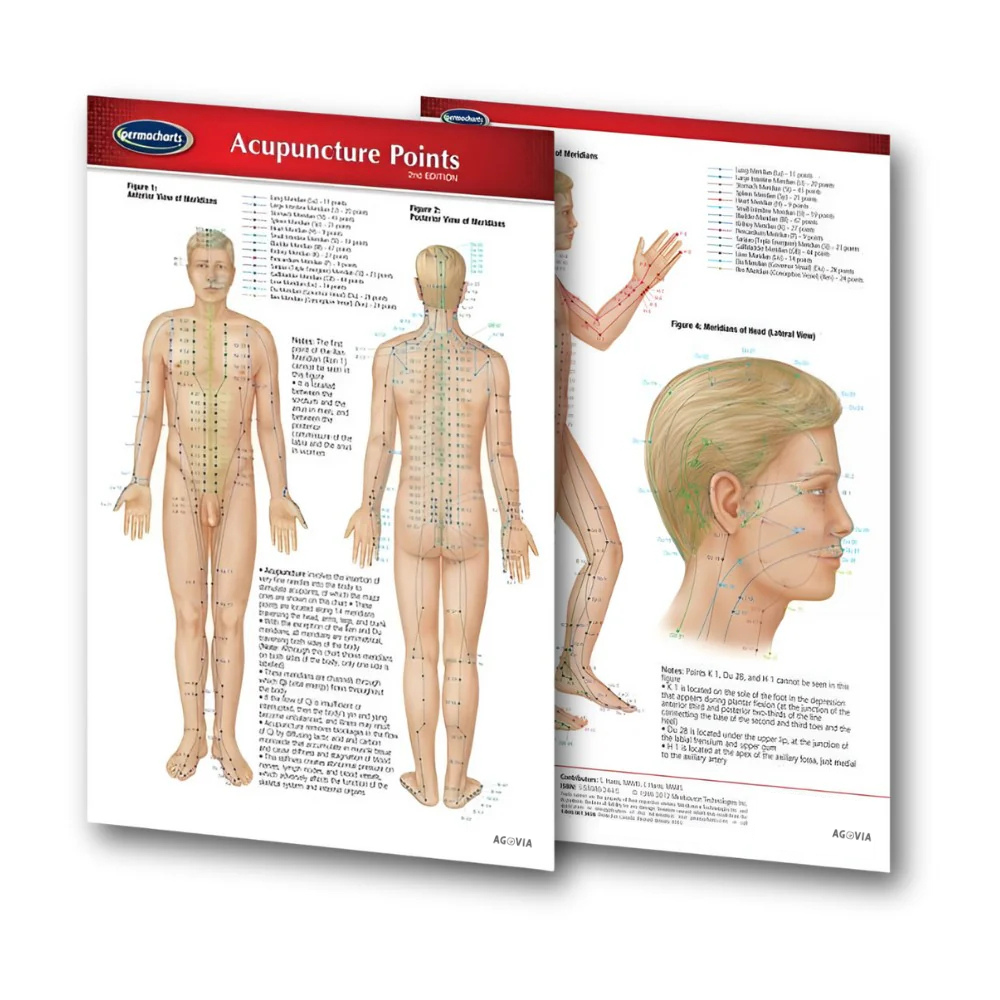 Acupuncture Points Chart (Digital)